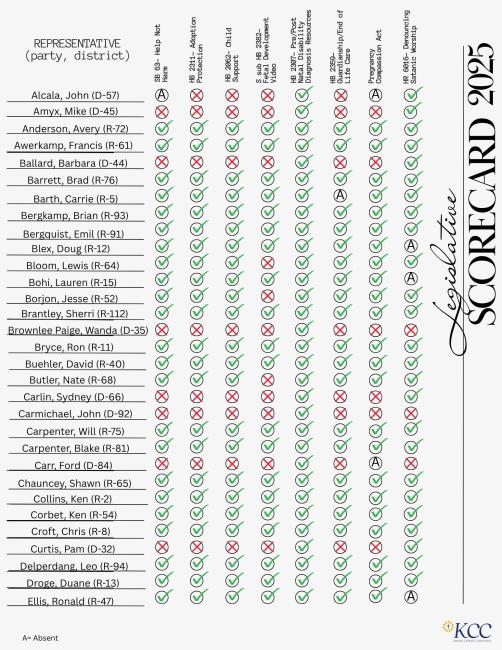 Representative Scorecard (1)